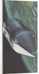 Soviet satellite orbiting Earth by Anonymous