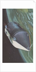 Soviet satellite orbiting Earth by Anonymous