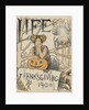 Thanksgiving 1900 cover of Life magazine by Anonymous