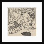 Hedgehog and ducklings by Anonymous