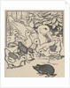 Hedgehog and ducklings by Anonymous