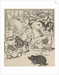 Hedgehog and ducklings by Anonymous