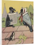 Crow couple sitting on roof by Anonymous