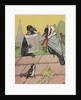 Crow couple sitting on roof by Anonymous