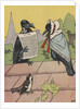 Crow couple sitting on roof by Anonymous