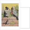 Crow couple sitting on roof by Anonymous