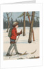 Boy cross-country skiing by Anonymous