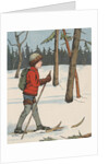 Boy cross-country skiing by Anonymous