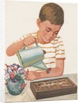 Boy watering plants by Anonymous