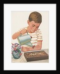 Boy watering plants by Anonymous