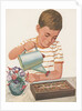 Boy watering plants by Anonymous