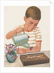 Boy watering plants by Anonymous