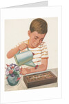 Boy watering plants by Anonymous