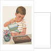 Boy watering plants by Anonymous