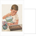 Boy watering plants by Anonymous