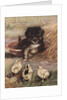 Puppy and chicks by Anonymous