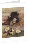 Puppy and chicks by Anonymous