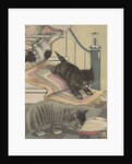 Kittens playing and drinking milk by Anonymous
