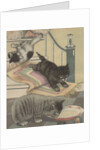 Kittens playing and drinking milk by Anonymous