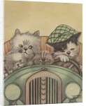 Cat family driving in car by Anonymous