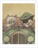 Cat family driving in car by Anonymous