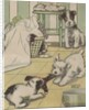 Puppies playing with laundry by Anonymous