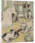 Puppies playing with laundry by Anonymous