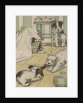 Puppies playing with laundry by Anonymous