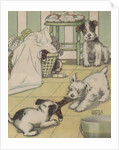 Puppies playing with laundry by Anonymous