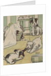 Puppies playing with laundry by Anonymous