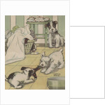 Puppies playing with laundry by Anonymous