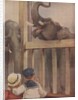 Children looking at elephants in zoo by Anonymous