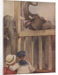 Children looking at elephants in zoo by Anonymous