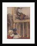 Children looking at elephants in zoo by Anonymous