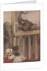 Children looking at elephants in zoo by Anonymous