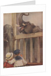 Children looking at elephants in zoo by Anonymous
