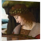 Narcissus by a Corbis