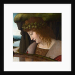 Narcissus by a Corbis