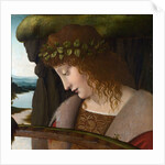 Narcissus by a Corbis