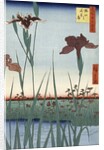 Horikiri Iris Garden by Utagawa Hiroshige