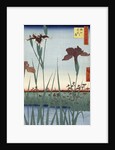 Horikiri Iris Garden by Utagawa Hiroshige