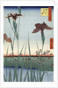 Horikiri Iris Garden by Utagawa Hiroshige