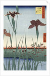 Horikiri Iris Garden by Utagawa Hiroshige