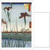 Horikiri Iris Garden by Utagawa Hiroshige