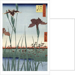 Horikiri Iris Garden by Utagawa Hiroshige