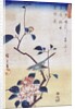 Tsubaki ni Uguisu (Camellia and Bush Warbler) by Utagawa Hiroshige