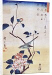 Tsubaki ni Uguisu (Camellia and Bush Warbler) by Utagawa Hiroshige