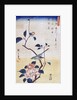 Tsubaki ni Uguisu (Camellia and Bush Warbler) by Utagawa Hiroshige