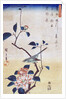 Tsubaki ni Uguisu (Camellia and Bush Warbler) by Utagawa Hiroshige