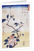 Tsubaki ni Uguisu (Camellia and Bush Warbler) by Utagawa Hiroshige